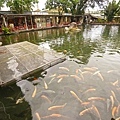 DSC09334.JPG