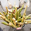 DSC09366.JPG