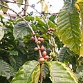 DSC09464.JPG