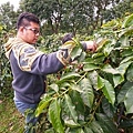 DSC09539.JPG