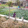 DSC05326.JPG