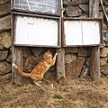 DSC05425.JPG