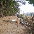 DSC05444.JPG