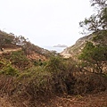 DSC05551.JPG