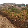 DSC05558.JPG