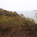 DSC05580.JPG