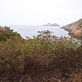 DSC05585.JPG