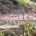 DSC05612.JPG