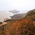 DSC05959.JPG