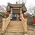 DSC06011.JPG