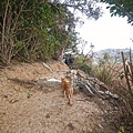 DSC05444