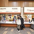 DSC00509.JPG
