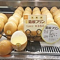 DSC00515.JPG