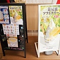 DSC00444.JPG