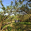 DSC00443.JPG