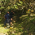 DSC00451.JPG