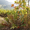 DSC00701.JPG