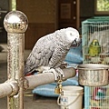 DSC05440.JPG