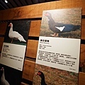 DSC04993.JPG