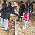 DSC05095.JPG