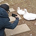 DSC05141.JPG