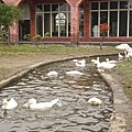 DSC05142.JPG