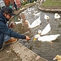 DSC05331.JPG