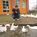 DSC05382.JPG