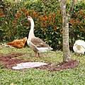 DSC05402.JPG