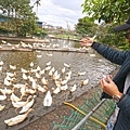 DSC05429.JPG