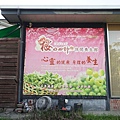 DSC04234.JPG