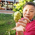 DSC04244.JPG