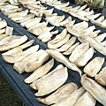 DSC04258.JPG