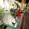 DSC05903.JPG