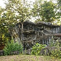 DSC05975.JPG