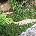 DSC06518.JPG
