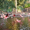 DSC06529.JPG