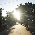 DSC03250.JPG