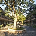 DSC03239.JPG