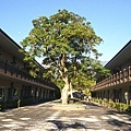 DSC03331.JPG