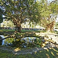 DSC03380.JPG