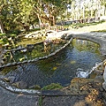 DSC03396.JPG