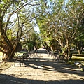 DSC03344.JPG