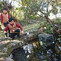 DSC03409.JPG