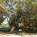 DSC03434.JPG