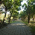 DSC03429.JPG