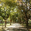 DSC03440.JPG