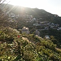 DSC09820.JPG