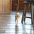 DSC01950.JPG