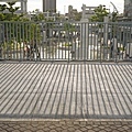 DSC09834.JPG